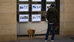 Un hombre consulta los anuncios de alquiler y venta de viviendas de una inmobiliaria.