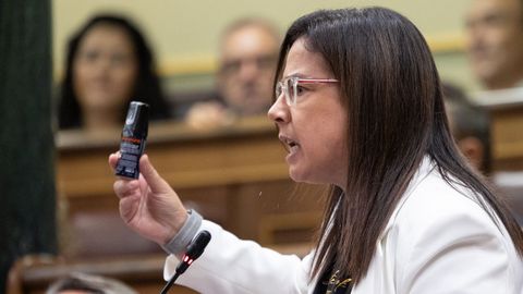 La diputada Ana V�zquez ense�ando un bote de gas pimienta
