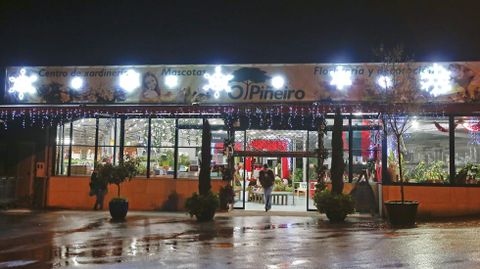 Navidad en Viveiros O Pi�eiro