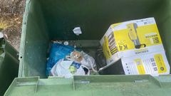 El animal en el fondo del contenedor en el que fue encontrado por una vecina