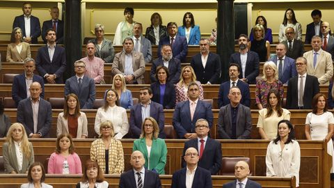 Minuto de silencio en el Congreso con motivo del genocidio del Estado de Israel en la Franja de Gaza.