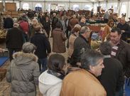 Imagen de la �ltima edici�n de la feria de antig�edades y artesan�a pontenovesa. 
