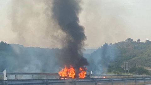 El fuego fue muy virulento y salt� hacia la masa forestal