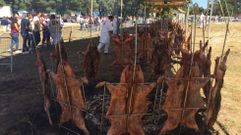 Amil degusta el porqui�o