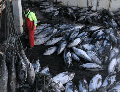 Si las restricciones siguen adelante, el 70 % de los estibadores de Vilagarca no podrn trabajar. 