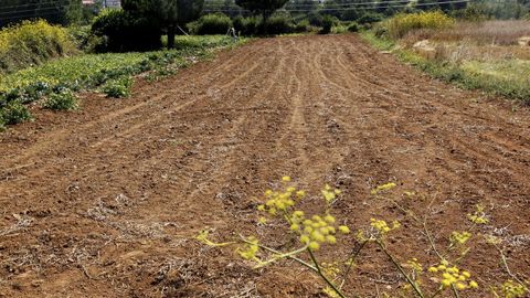Imagen de archivo de una finca labrada