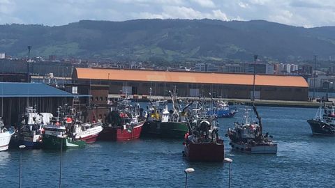 Pesqueros en el puerto de Gij�n