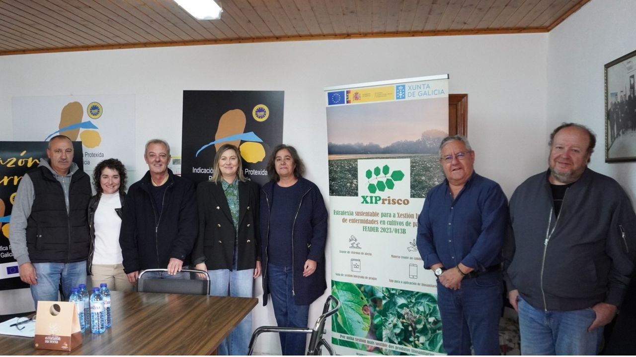 Desarrollan modelos predictivos que reducen hasta la mitad los fungicidas en el cultivo de la patata