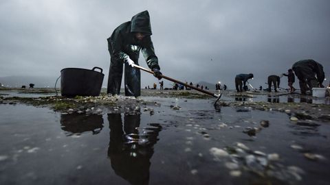 Mariscadoras en la r�a de Pontevedra