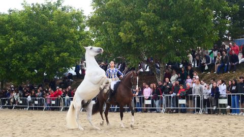La feria reunió a numeroso público