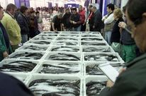 La Cooperativa San Miguel de Mar�n operaba en la lonja de O Berb�s, en Vigo. 