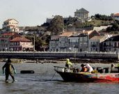 La producci�n de almeja ha colocado a Carril en el mapa marisquero y comercial de toda Espa�a.