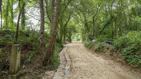 El tramo del Camino de Invierno pr�ximo a Monforte en el que se llevan a cabo las obras