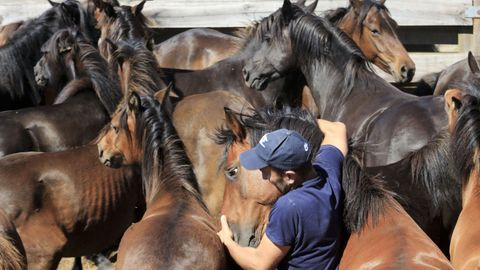 Las  bestas  no se lo pusieron fcil a los  aloitadores 