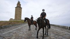 Los equinos ya controlan el entorno de la torre de H�rcules