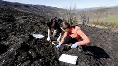 Dous estudantes do colexio de Pedrafita recollendo mostras de terra queimada nun incendio no veci�o municipio de Cervantes