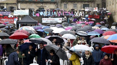 Centos de persoas asistiron na Quintana &aacute; asamblea na que se ratificou o protocolo Lingua Vital