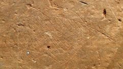 Pez grabado en una de las losas del castro de Formigueiros depositadas en el museo de Viladonga