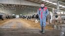 Manuel Penedo ensu granja de 500 vacas. l es uno de los socios de la SAT Os Penedos, en A Pastoriza