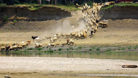 Un ganadero lleva a abrevar un reba�o de cabras en Rasova, Ruman�a.