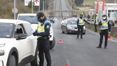 La Polic�a Local establece controles en las principales v�as de entrada a Lugo