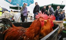 El mercado dominical de ayer registr� una buena afluencia de p�blico pese al fr�o y la lluvia. 