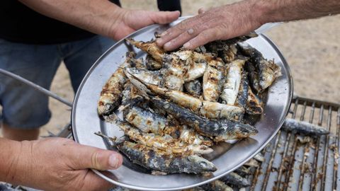 Sardinas de San Xo�n en Carballo