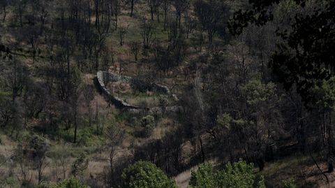 La alvariza que ser� acondicionada con una subvenci�n de 50.000 euros de la Fundaci�n Reina Sof�a.