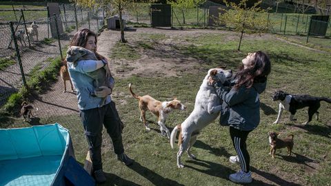 Silvia Gonz&aacute;lez y Andrea Cao regentan K-Nine, un centro de adiestramiento que tambi&eacute;n funciona como guarder&iacute;a y residencia canina en Lousame