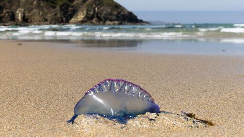 Imagen de una carabela