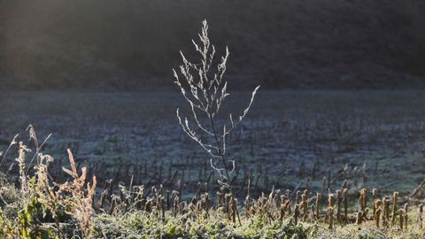 0 grados en Abegondo (A Coru�a)