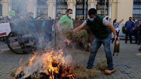 Varios ganaderos asturianos queman hierba delante de la Junta como se�al de protesta