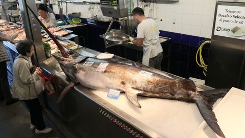 Un pez espada en una pescadería de Ferrol, a finales de mayo