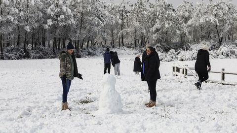 Nevada en el Alto do Vieiro (Ourense).