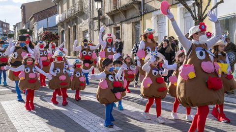 Una de las comparsas que se apuntaron a los desfiles de Monforte y Pantn
