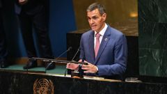 Snchez pide que se reconozca a Palestina como estado de pleno derecho en Naciones Unidas