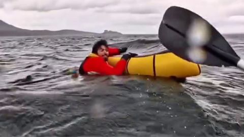 Kayakista engullido por una ballena Jorobada