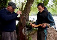 Antonio y su hijo levantaron el viernes dos lampreas en el cierre de campa�a.