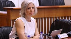 Patricia Iglesias, diputada socialista 