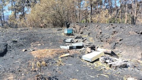 El fuego de los incendios de Ourense arras colmenas en Cualedro
