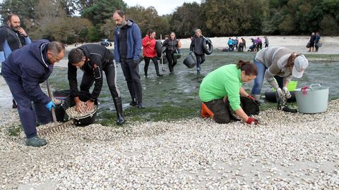 Mariscadores de Noia, en noviembre, intentando salvar el bivalvo