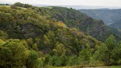 Un recorrido visual por el camino de A Eireli�a