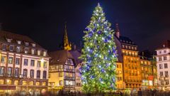 El famoso árbol de Navidad que se coloca en la céntrica plaza Gléber de Estrasburgo.