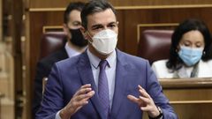 Pedro S�nchez, esta ma�ana en el Congreso