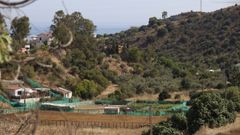 Zona en la que se localiz� el cad�ver de una mujer dentro de un pozo en el Rinc�n de la Victoria (M�laga)