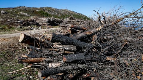 As est el monte de Barbanza un ao despus del gran incendio