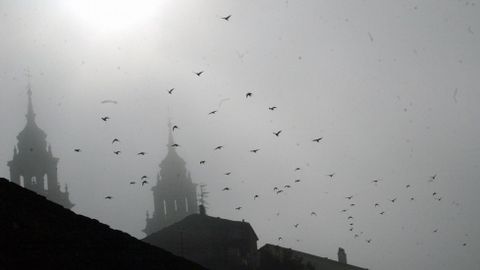 Amanecer en con niebla en Lugo.