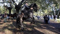 A feira de San Marti�o enche de actividade a carballeira de Francos en Teo