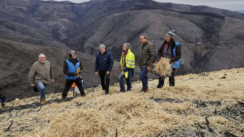 Voluntarios protegen los montes afectados por los incendios forestales en Vilamart�n de Valdeorras