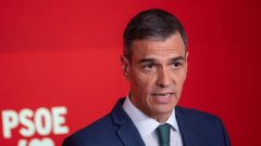 El secretario general del PSOE y presidente del Gobierno, Pedro Snchez, durante una rueda de prensa, en la sede del PSOE de la calle Ferraz.